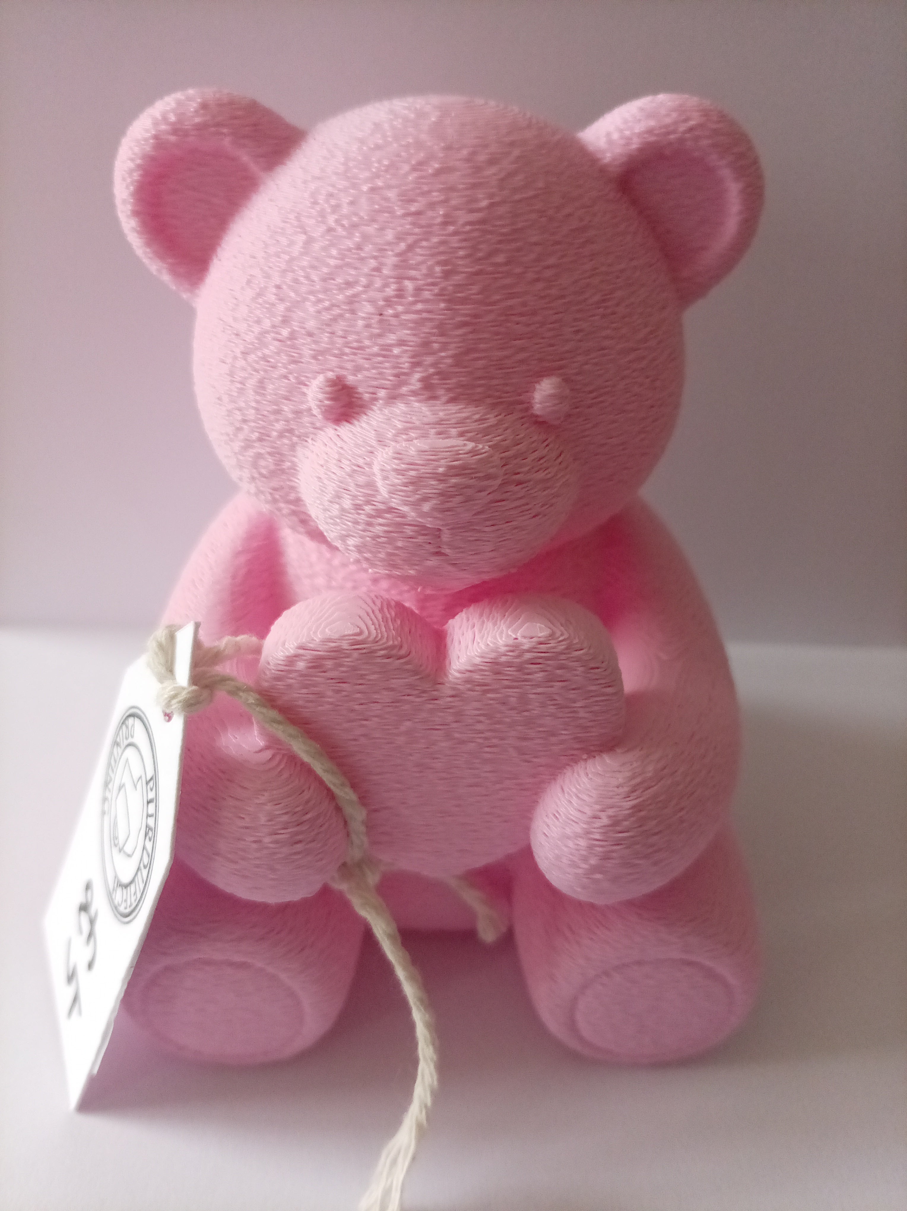 3D Printed Teddy Bear