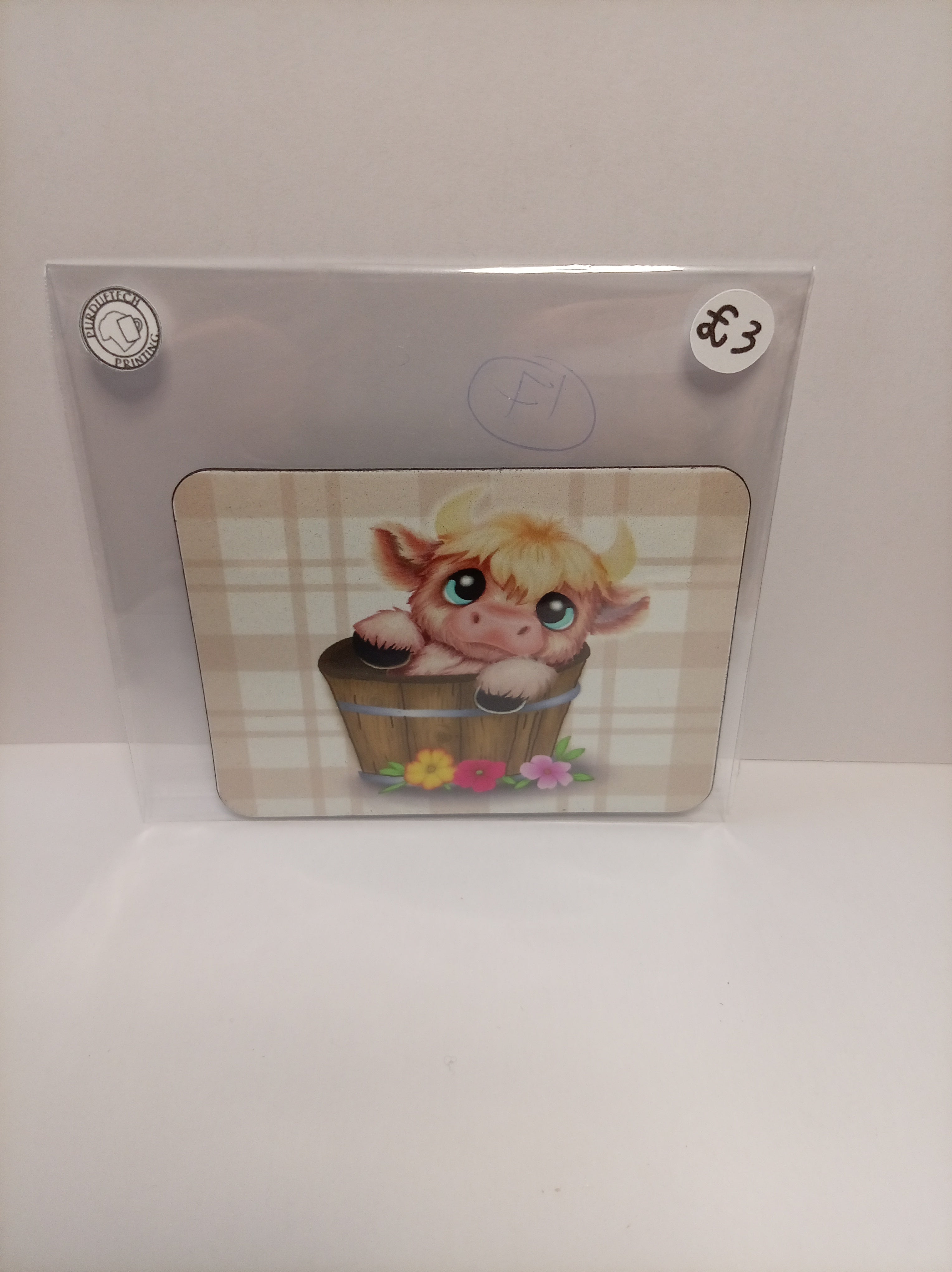 Printed Fridge Magnets