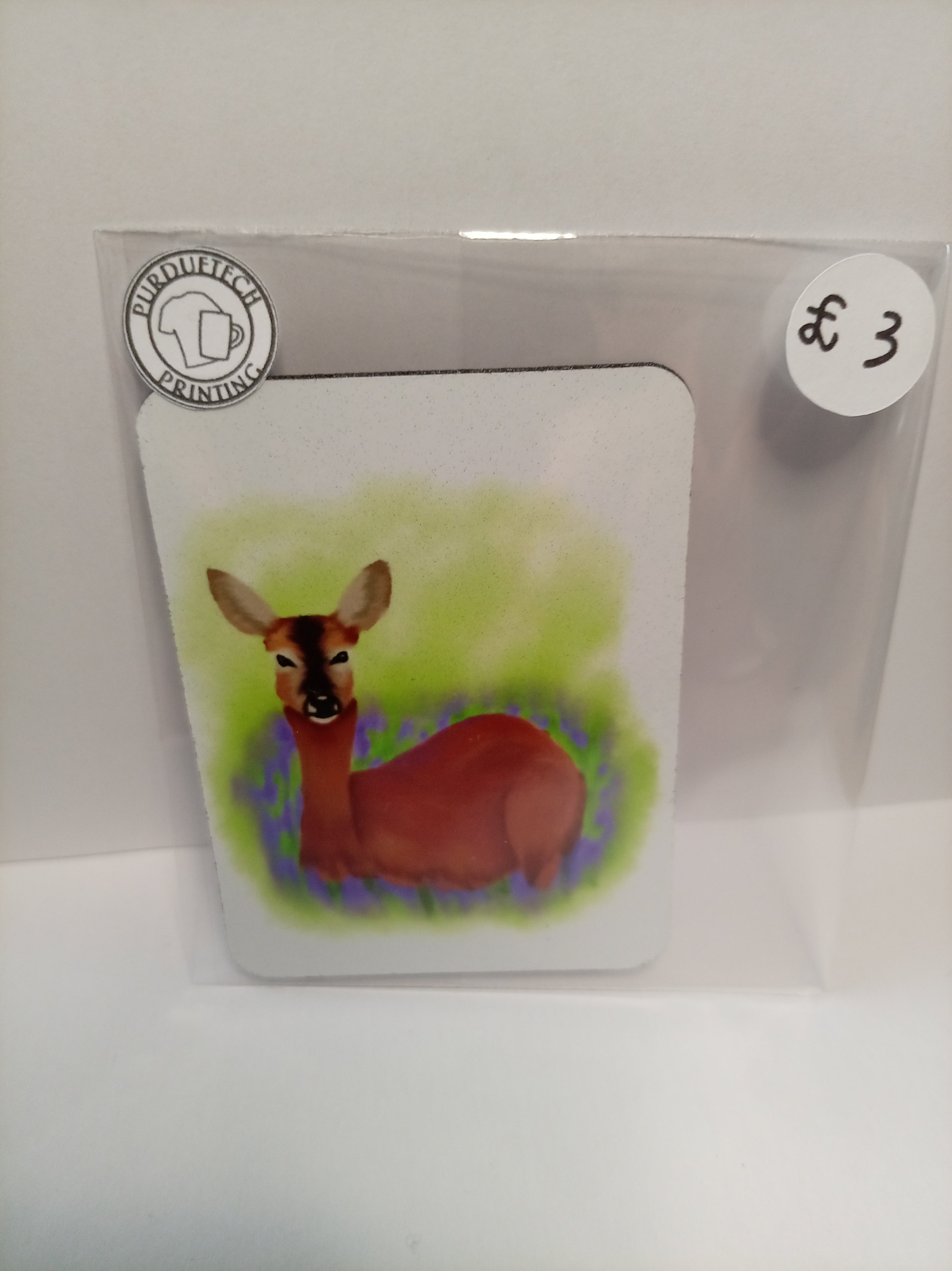 Printed Fridge Magnets