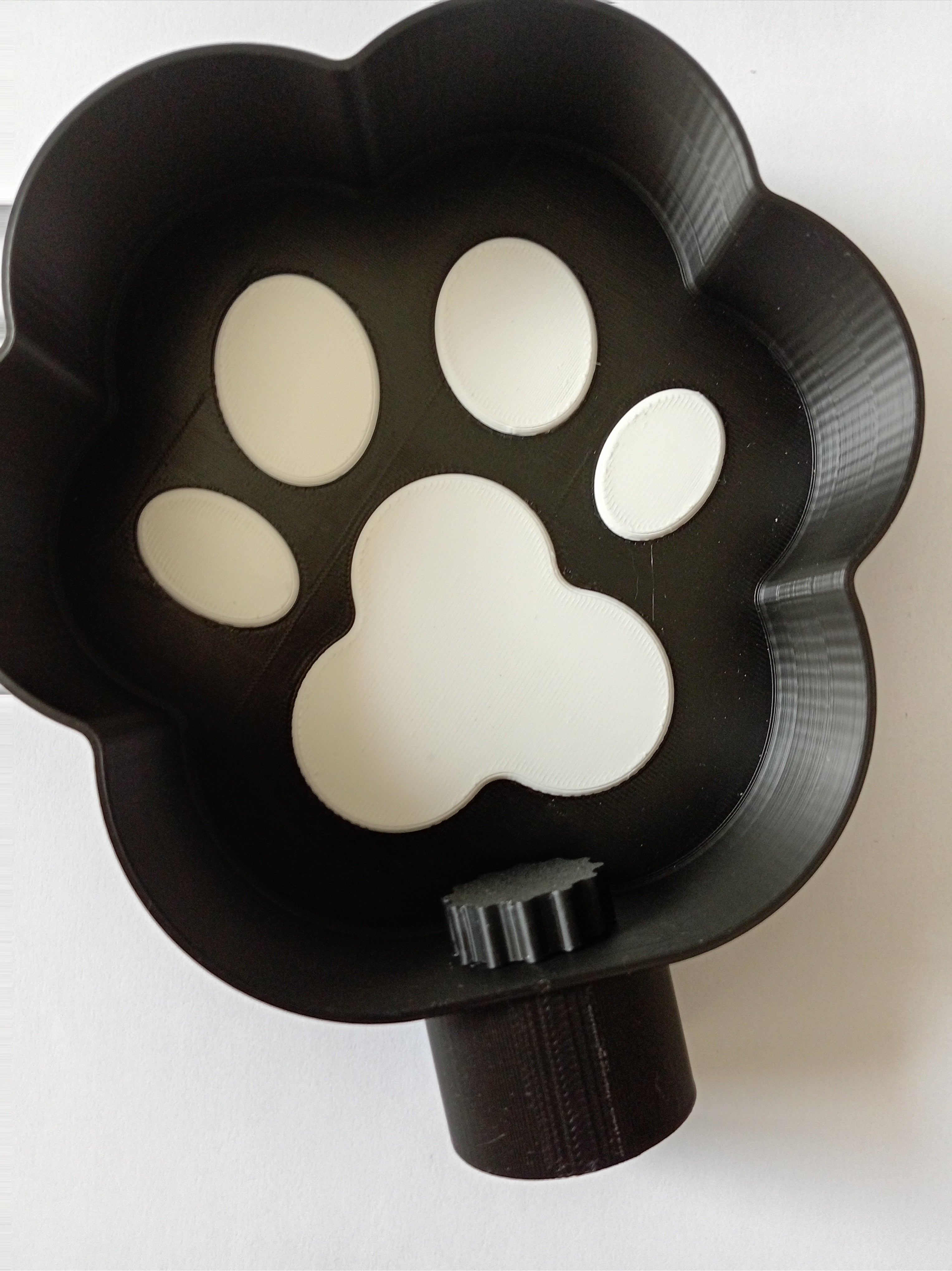 Paw water bowl