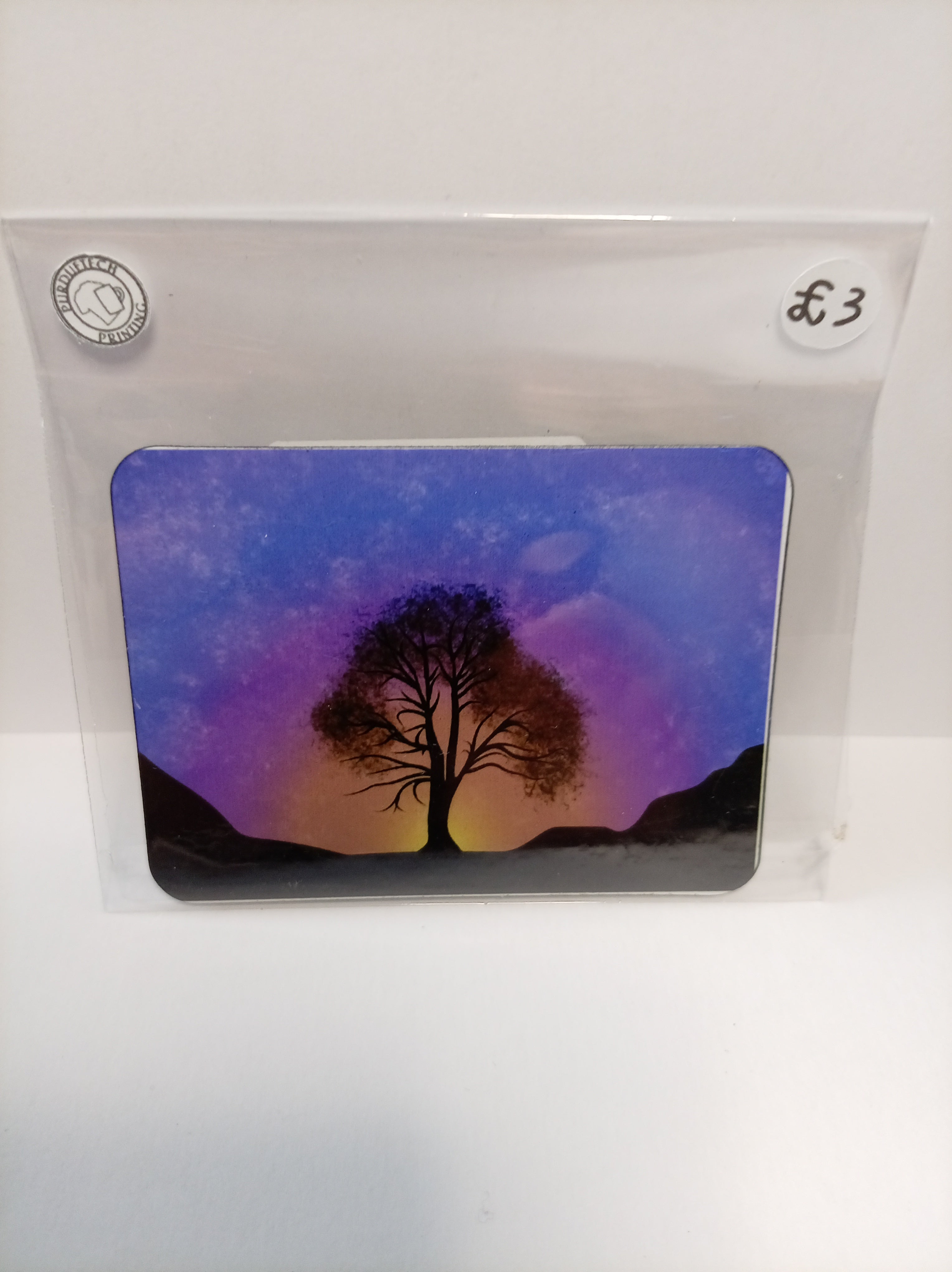 Printed Fridge Magnets