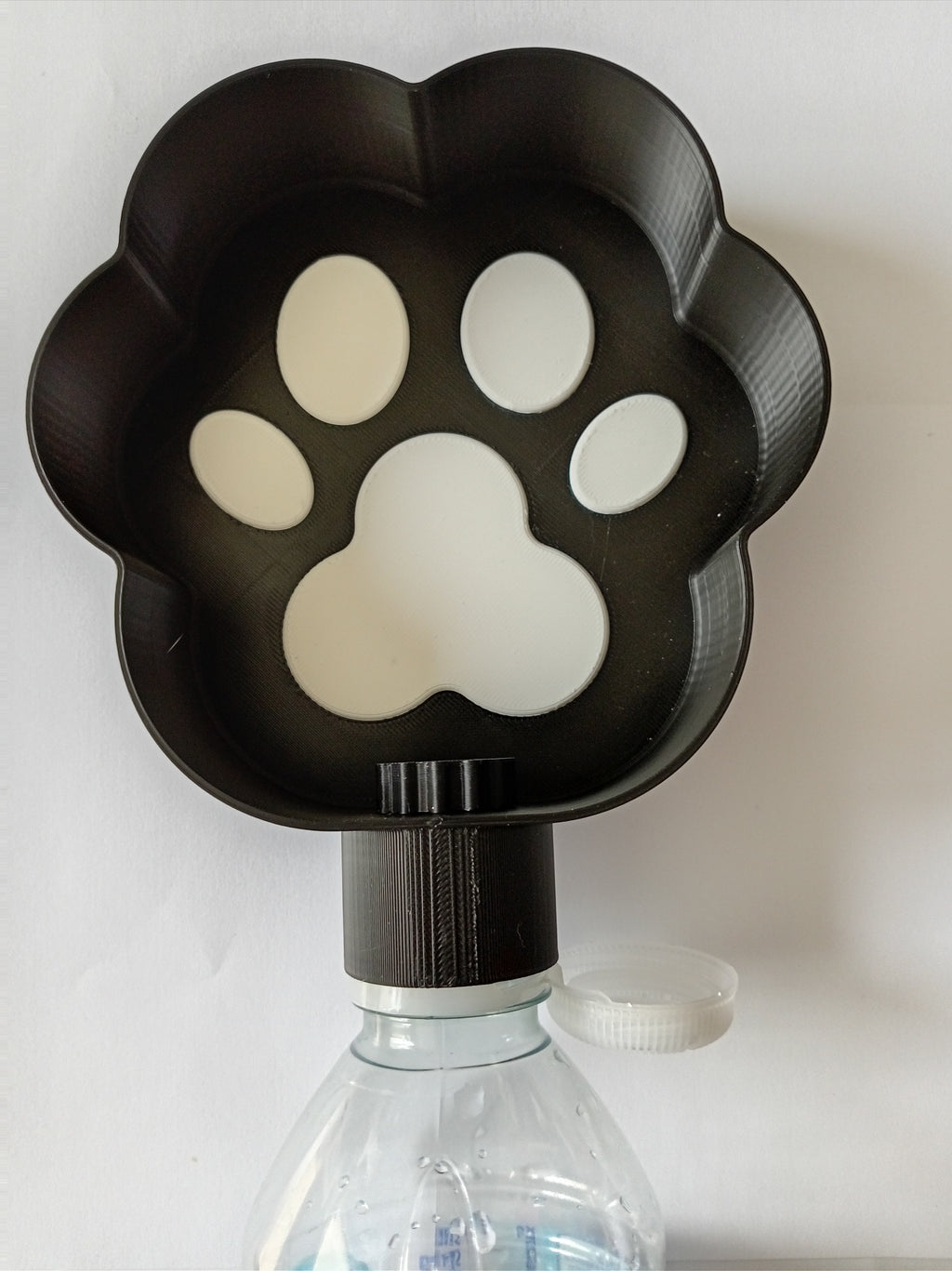 Paw water bowl